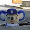 6月8日 中日ドラゴンズVS日本ハムファイターズ  「宮部アナがうるさいCBC」で応援観戦記